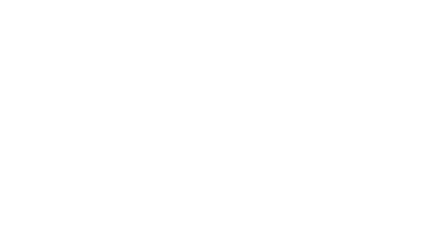 Cchi Logo