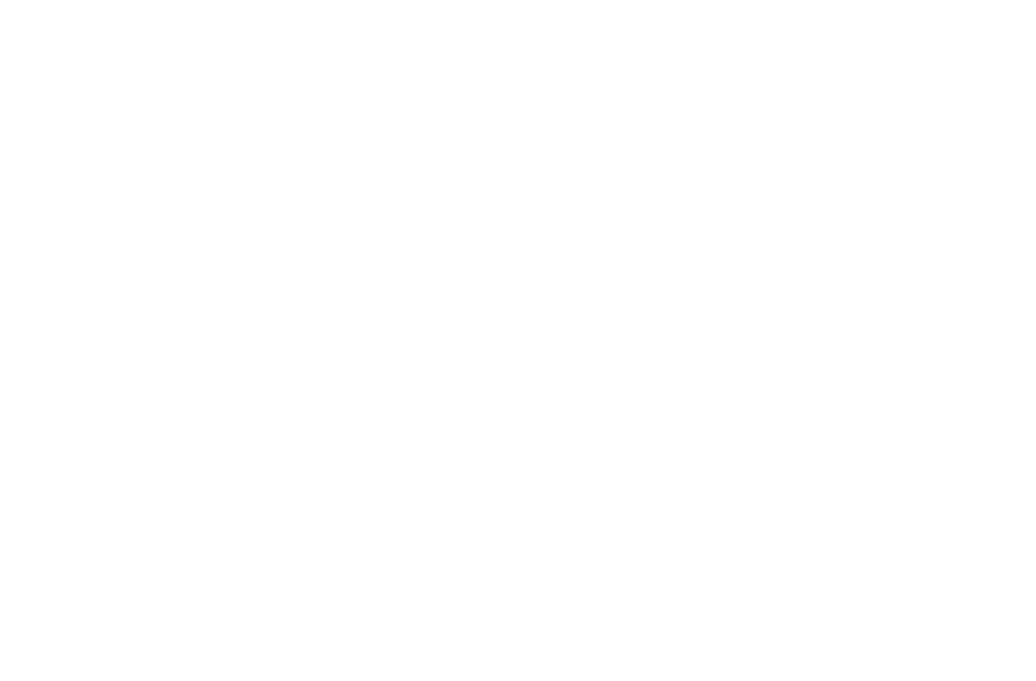 logo-translat